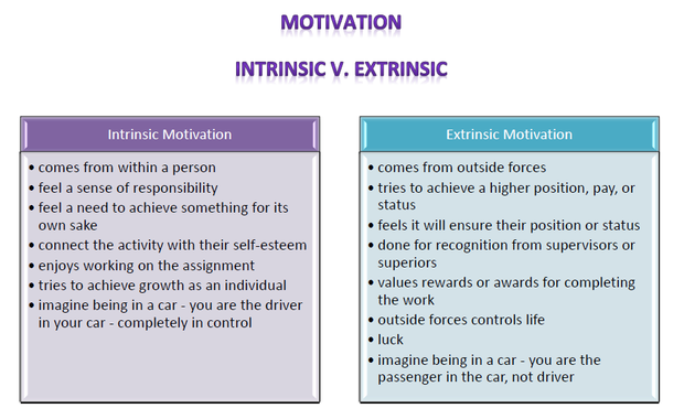 Motivation Extrinsic And Intrinsic Factors