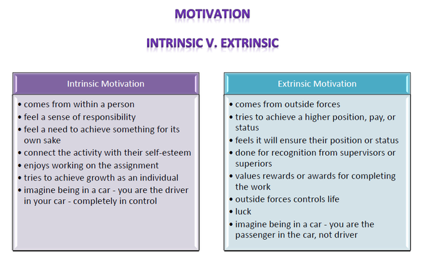 Intrinsic And Extrinsic Motivation Essay