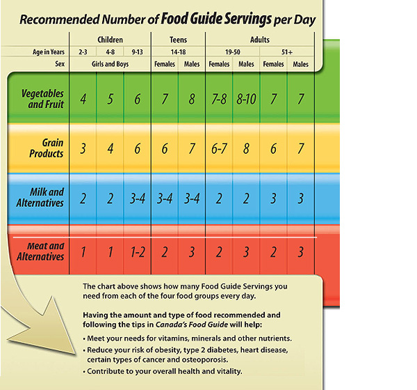 The Canada Food Guide is an excellent resource for diet information.