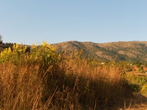 DSCN2396