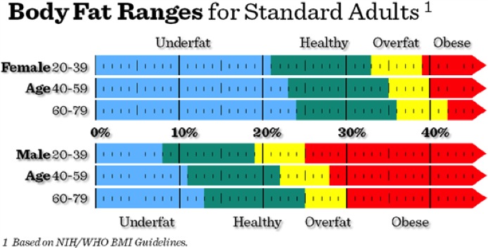 Body Fat Ranges For Standard Adults 118