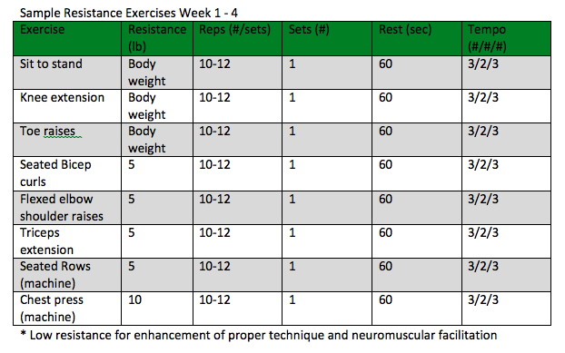 Fitness Program Sample