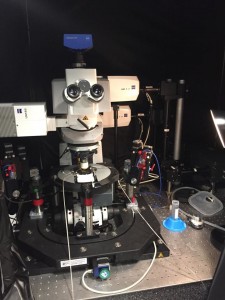  Lasse uses this two-photon microscope in the lab to view the brain slices he has prepared with SNAPSHOT