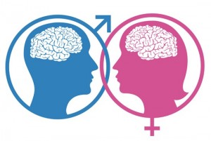 female-male-brain-differences