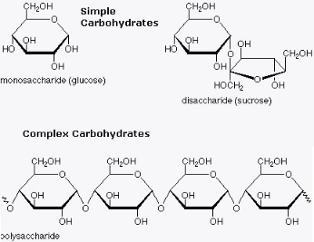 carbohydrate-diagram