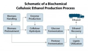 cellulosic-ethanol