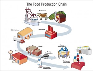 food-production-chain-650px