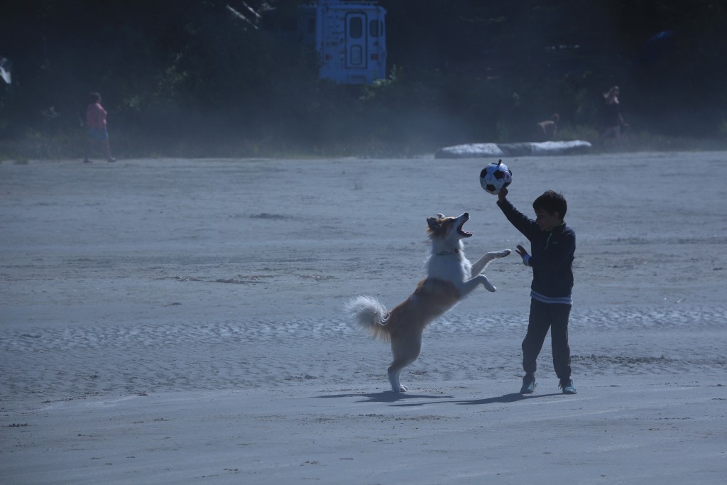dog, soccer, lil boy