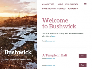 Bushwick and Fastr themes added.