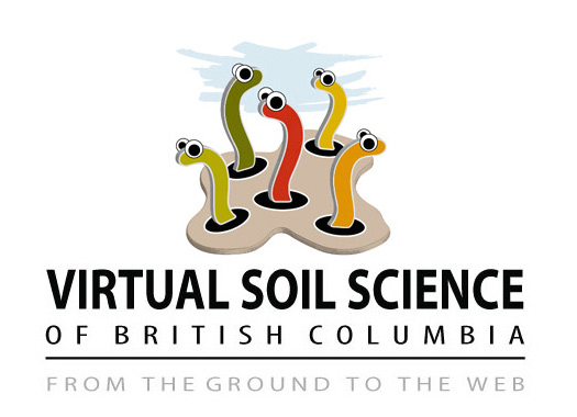 Virtual Soil Science - logo idea (II)