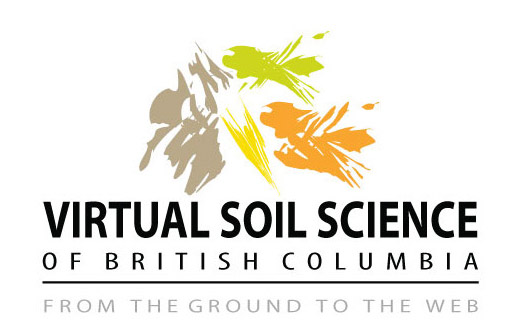 Virtual Soil Science - logo idea (I)