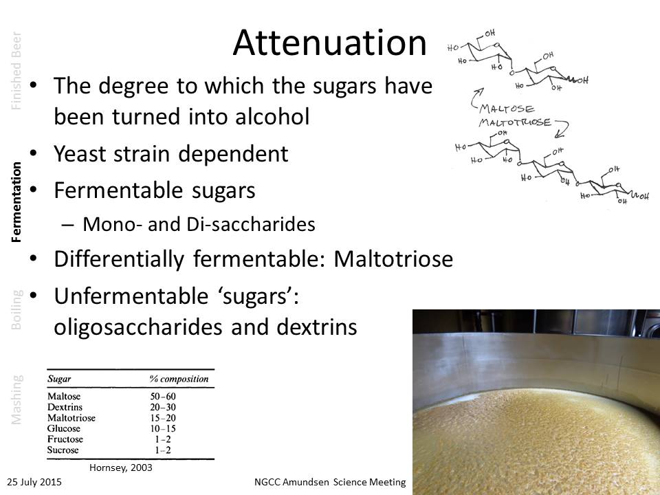 Slides from David Janssen’s “Biogeochemistry of Beer” presentation. 