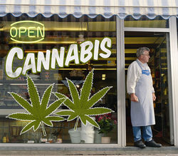 retrieved from http://www.marijuana.com/blog/news/2014/07/colorado-will-allow-new-recreational-marijuana-businesses/