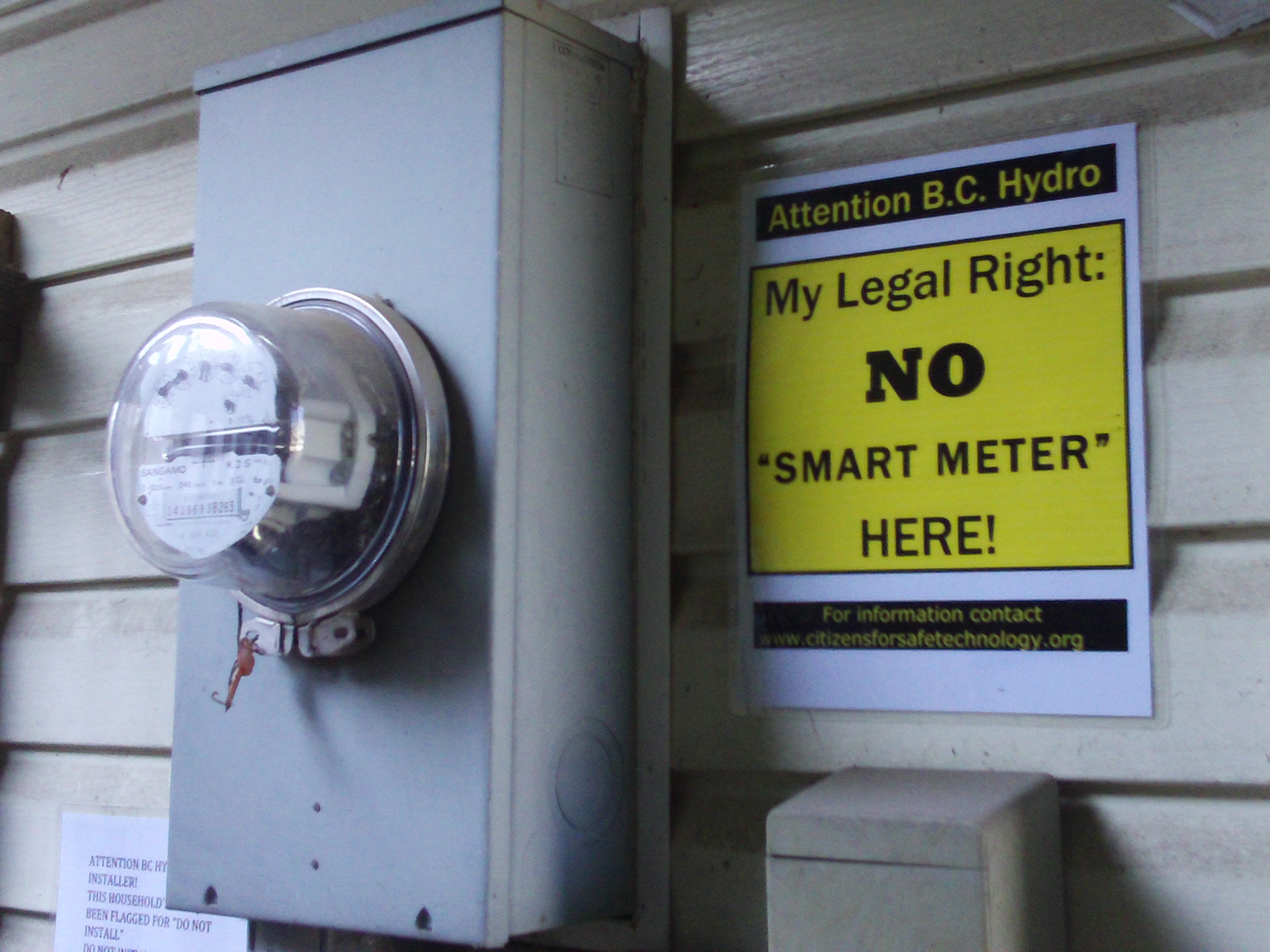 Smart Meters Too Smart For You Joanne S Thought Emporium