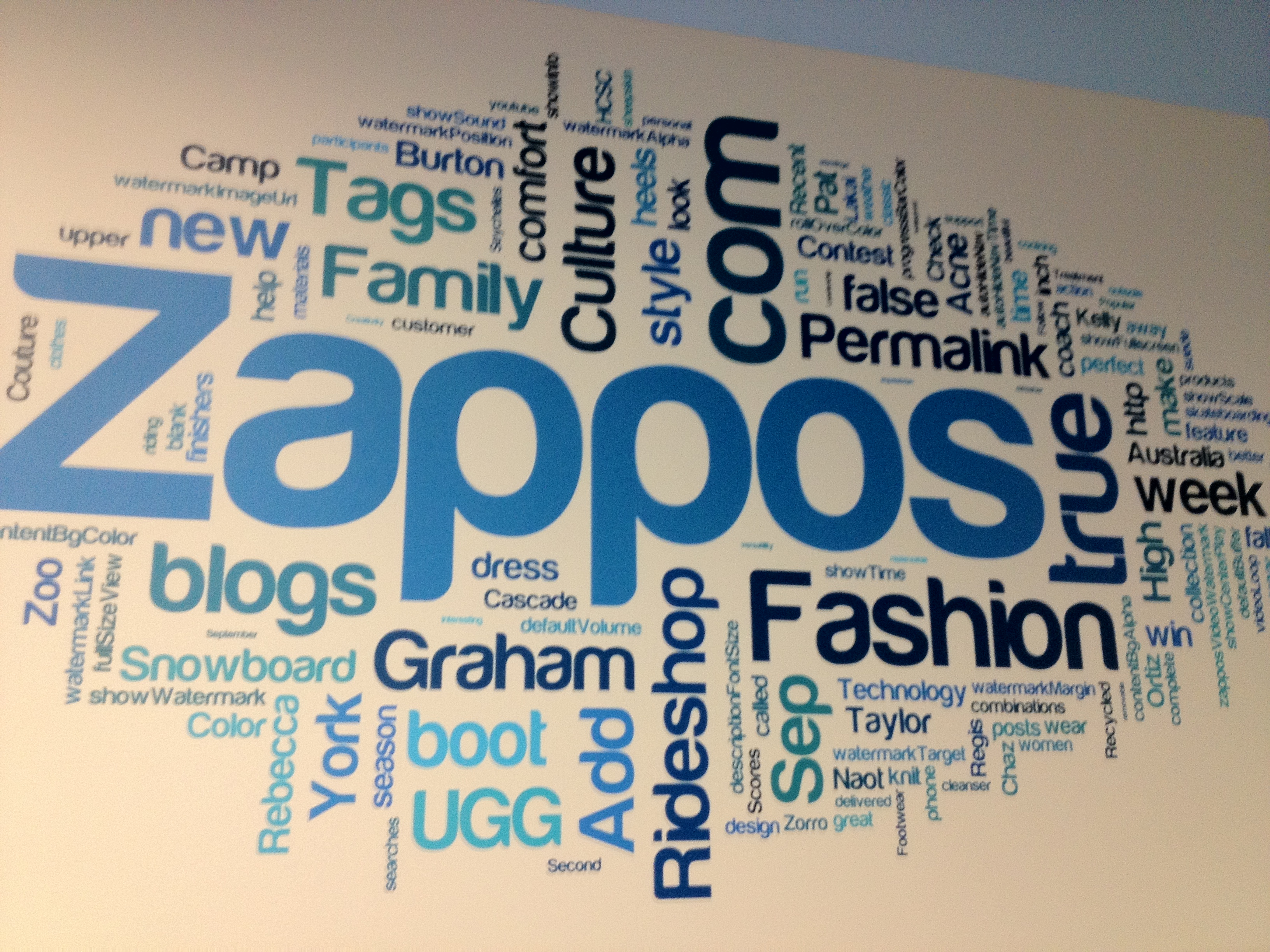 Blue Sandals: Zappos Service Culture