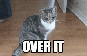 anigif_enhanced-30686-1414099565-11