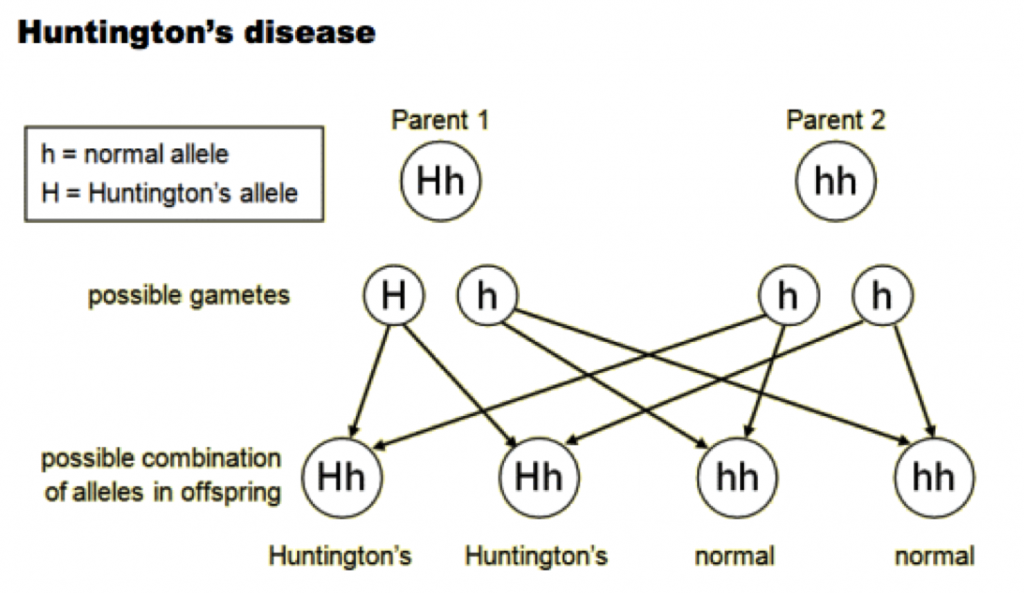 Huntington S Disease Inheritance Chart