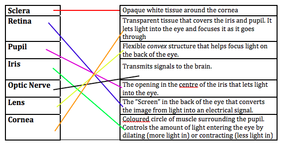 Physics 8 Quiz 1 Review Answer Key – The Biology Classroom