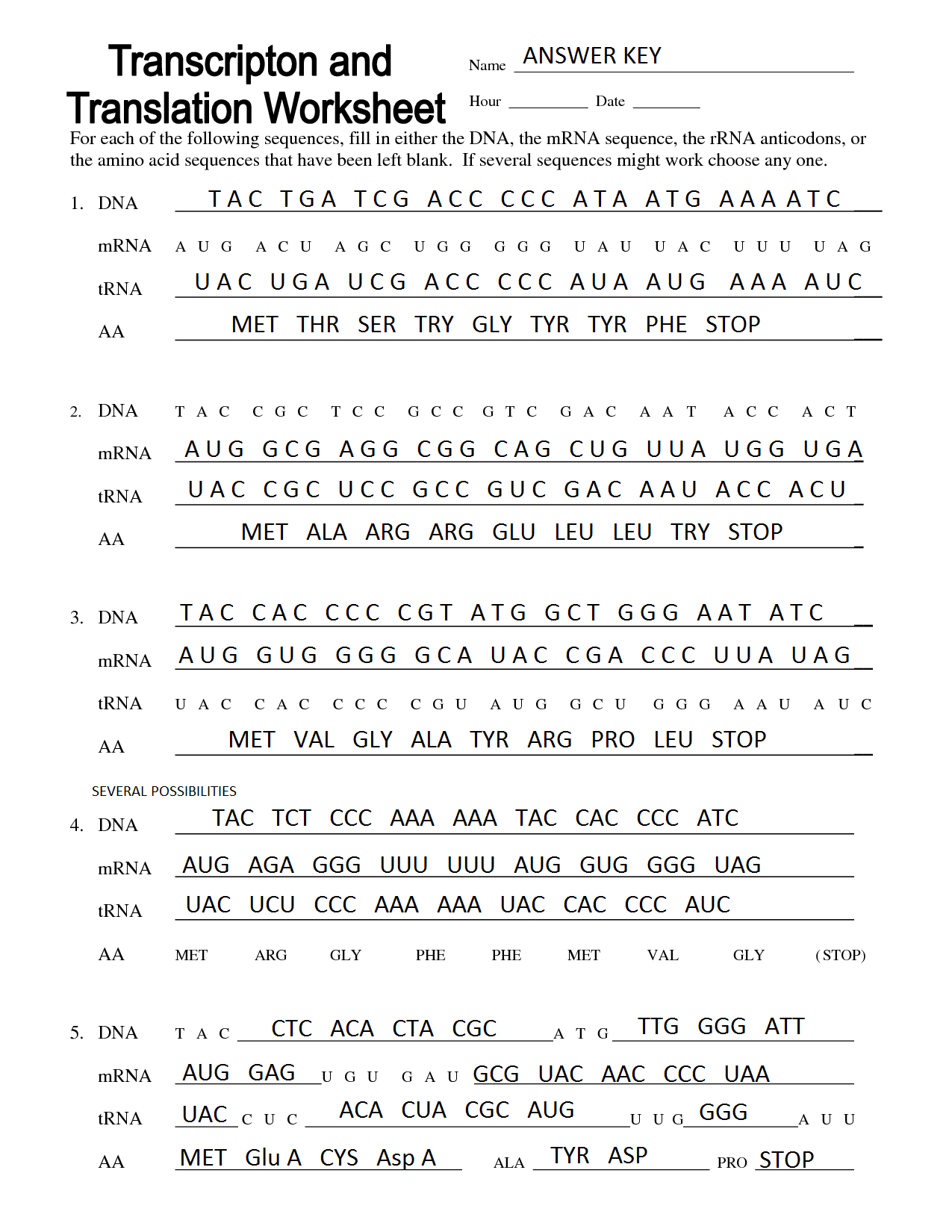 Mutations Worksheet Answer Key