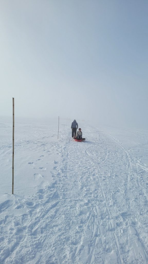 sled