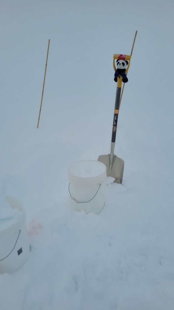 shoveling snow