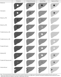 Expected appearance of different lesion types under different imaging phases using hepatobiliary contrast agents. 