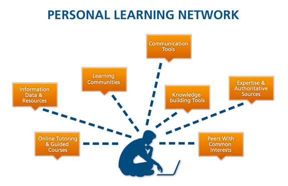 Professional Learning Network Examples