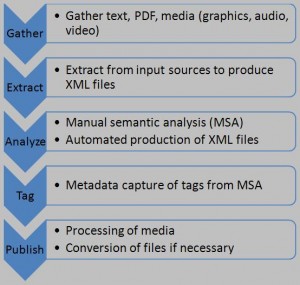 Figure 1: Publishing Process (image created by Pam Gill)