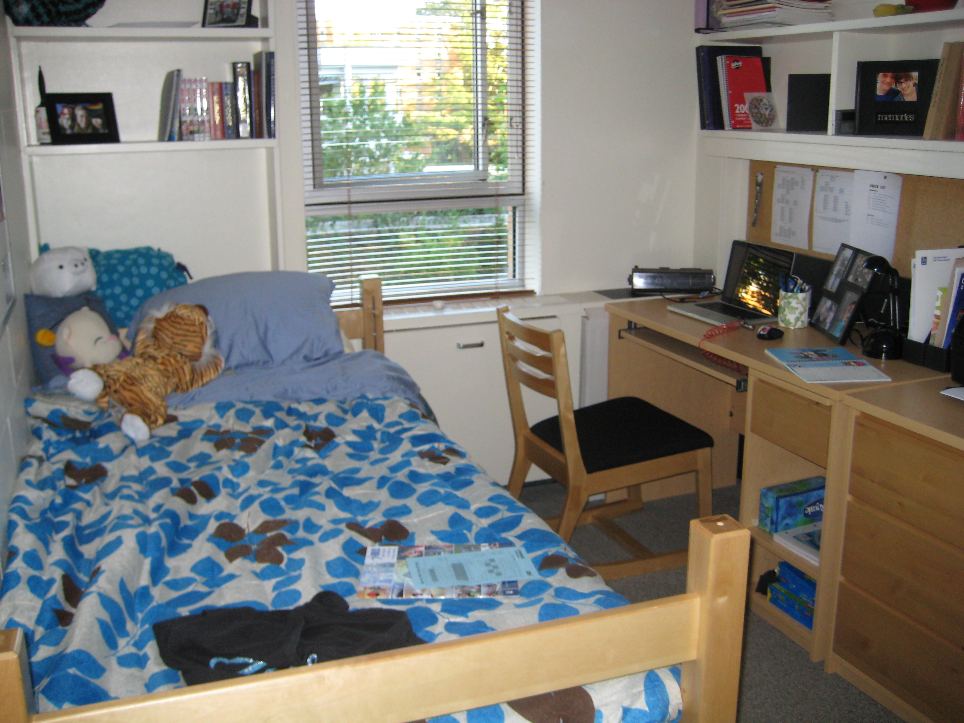 What A Dorm Room Looks Like Samantha Says