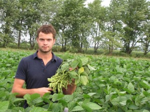 Jacob MacKellar in edamame crops 