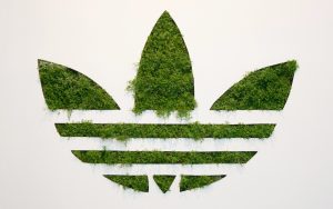adidas green company