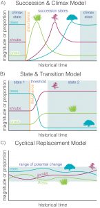 Models of ecological change on rangelands