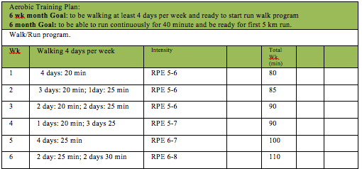 Cardiovascular And Strength Training Program