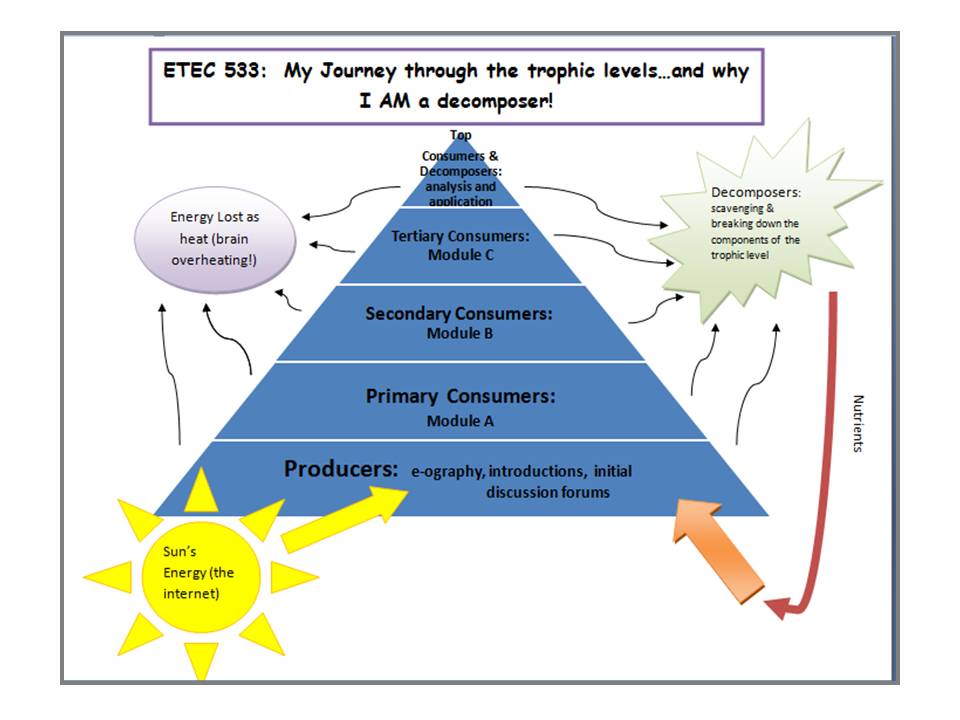 Trophic Pyramid Worksheet | Worksheet & Workbook Site