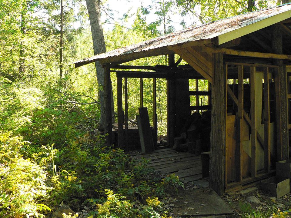 woodhaven shed picture