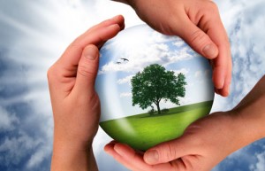 energy-sustainability21056