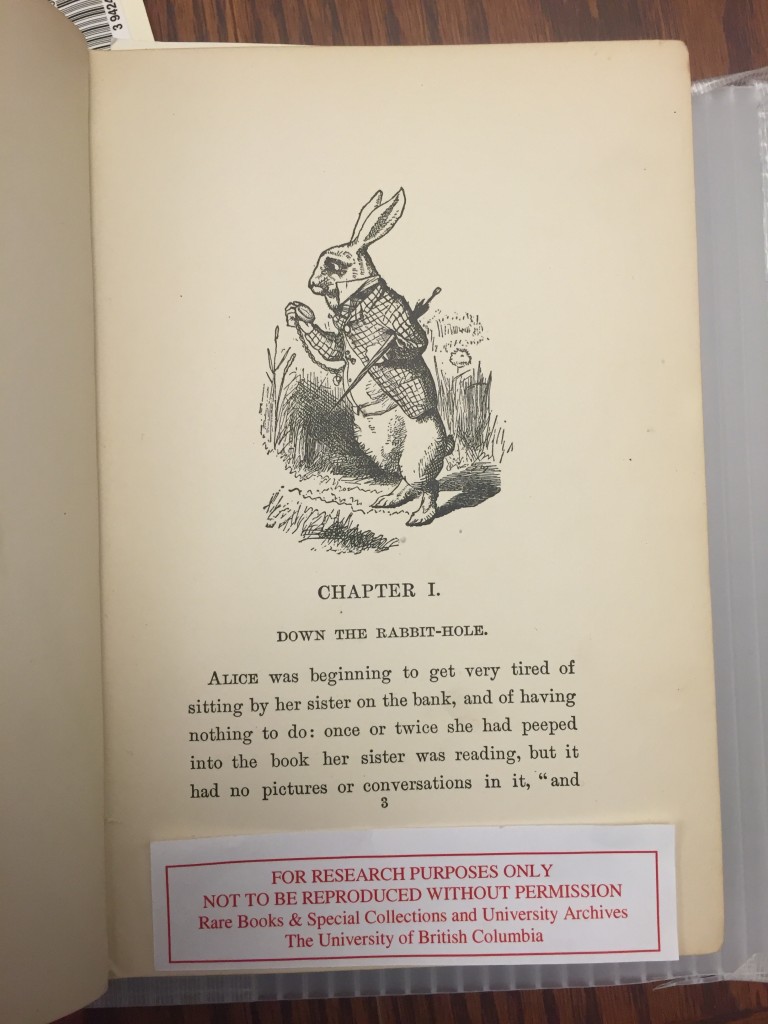 Steel Engraved Illustration of the Rabbit