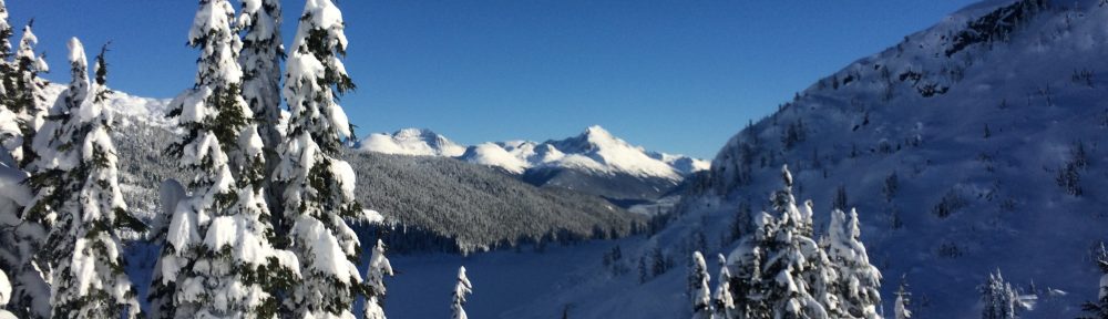 Analysis of Hazardous Avalanche Terrain in Whistler B.C.