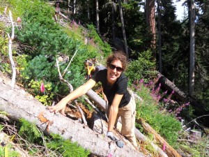 Sierra McLane planting whitebark