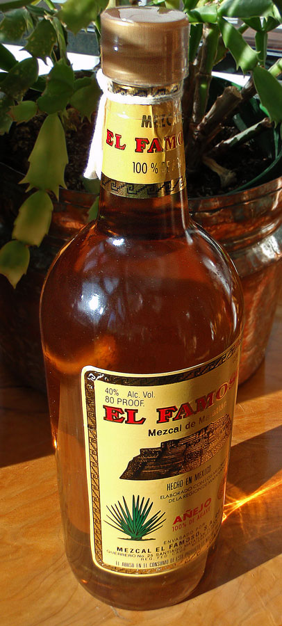 Mezcal (vs. Tequila) | Albatz Blog
