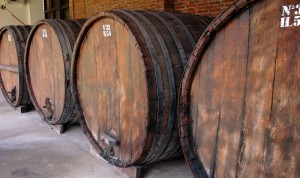 Cafayate, wine barrels at Nanni