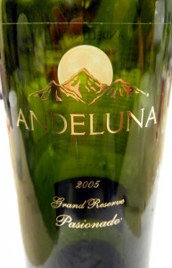 Andeluna 'Grand Reserve' Pasionado 2005 was the killer wine of the evening