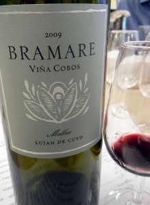 The Malbec, the signature grape of Argentina, was velvety, smooth, dark berry, and full of flavour