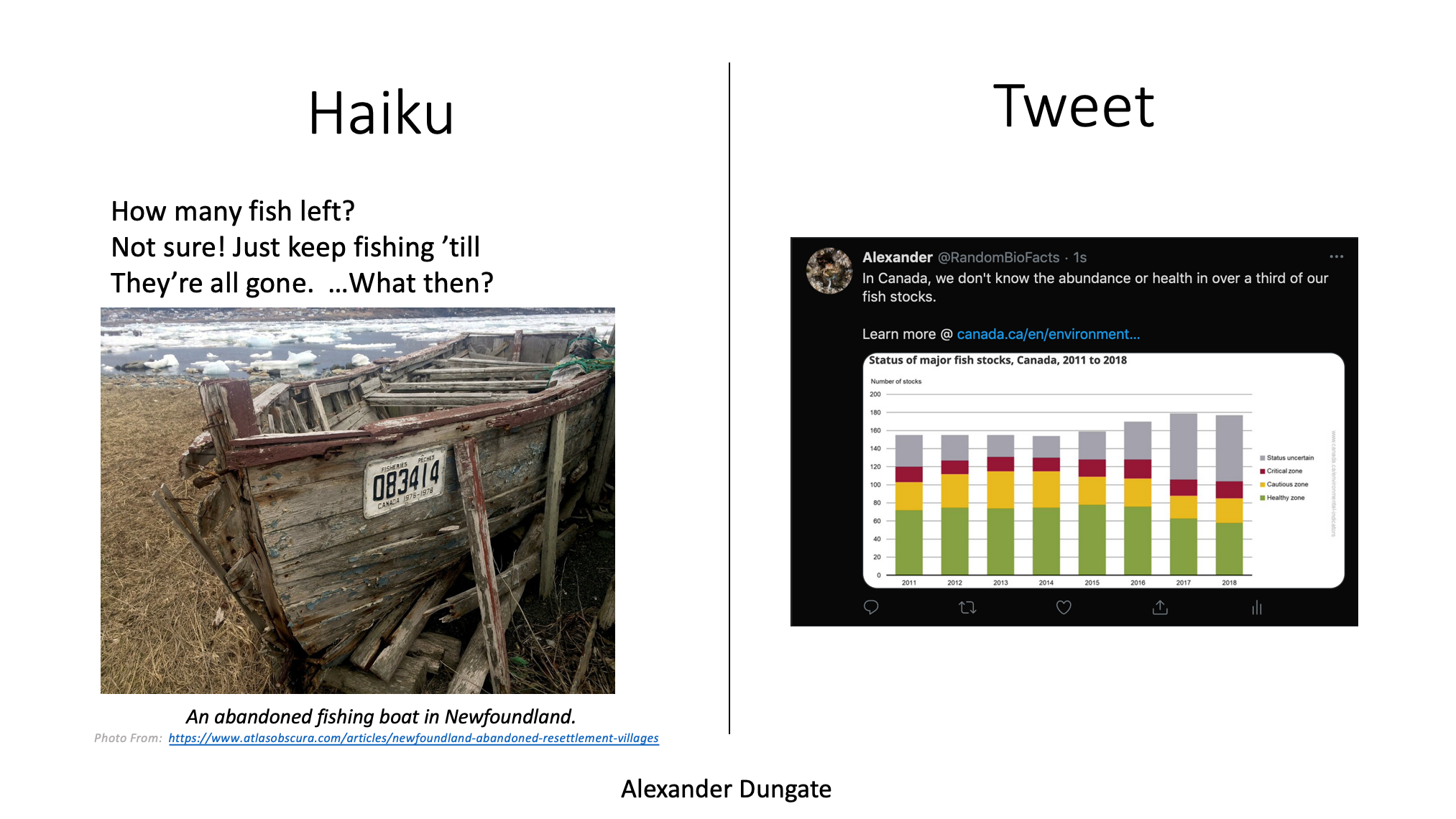 Haiku (Tutorial #4) | Alexander's Conservation Blog