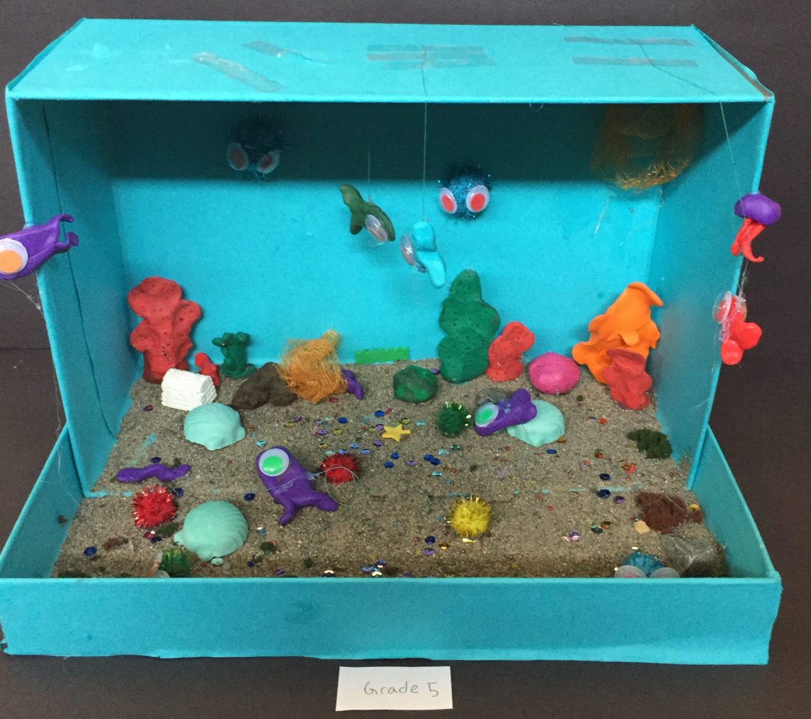 Science – biomes dioramas – An apple a day