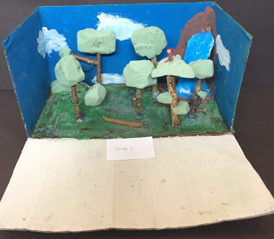 Science – Biomes Dioramas – An Apple A Day