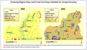 grape maps