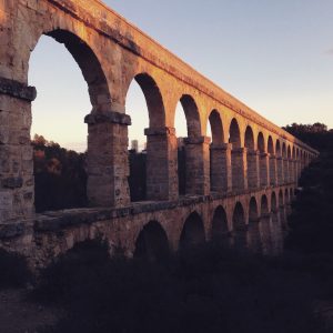 img_3117