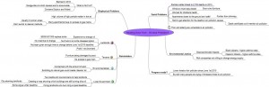 Heating New York - Wicked Problem