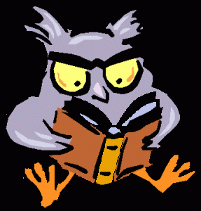 Owl Studying